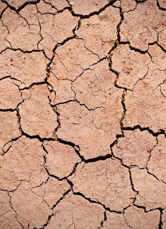 Close-up of dry, cracked earth showcasing patterns of drought and erosion.