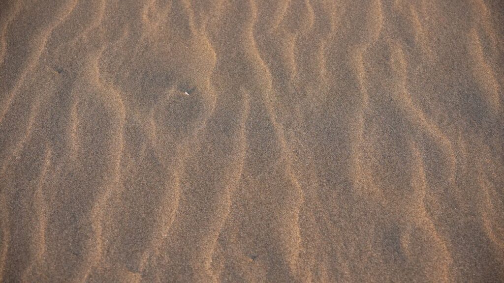 Detailed view of sandy beach showcasing natural wind patterns and textures.