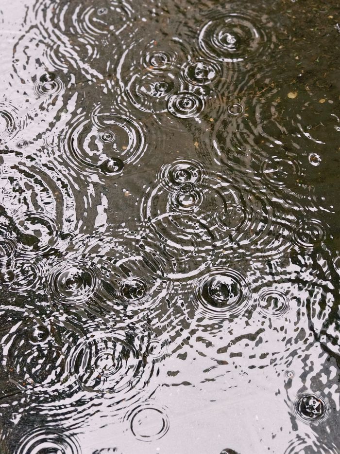Artistic capture of rain ripples creating patterns on a wet surface.