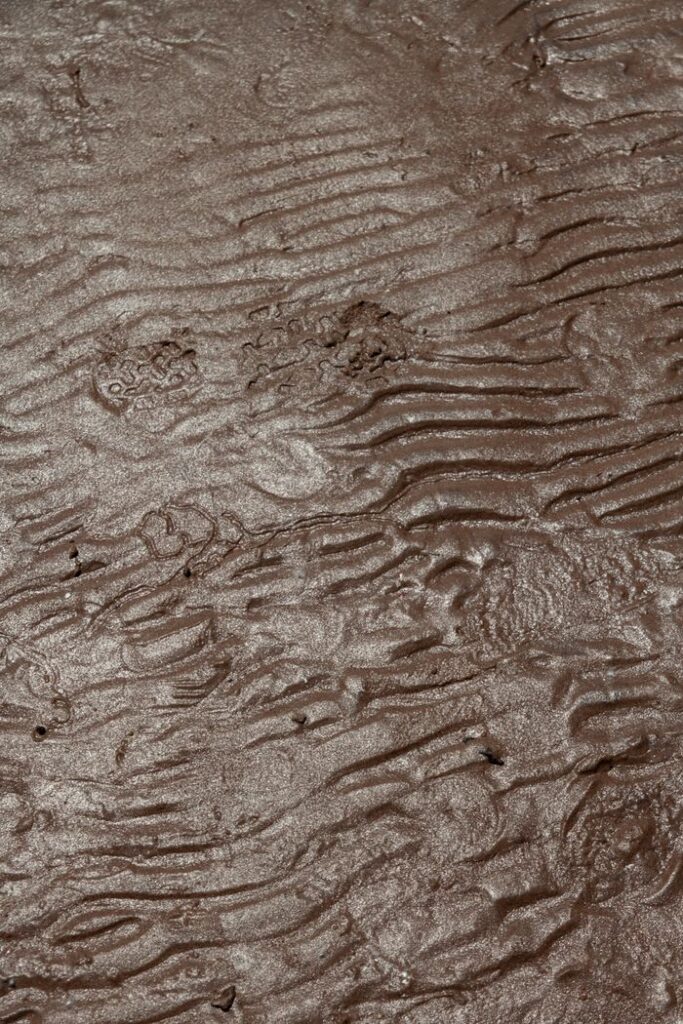 Detailed close-up of a textured muddy surface with ripple patterns, capturing the essence of natural formations.